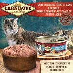 Carnilove-Dinde et Saumon Boîte (1)