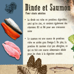 Carnilove-Dinde et Saumon Boîte (1)