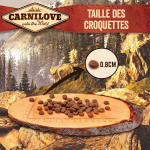 Carnilove-Puppy Saumon et Dinde (1)