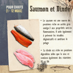 Carnilove-Puppy Saumon et Dinde (1)