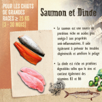Carnilove-Puppy Large Saumon et Dinde (1)