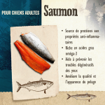Carnilove-Adult Saumon (1)
