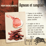 Carnilove-Adulte Agneau et Sanglier (1)