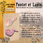 Adult Poulet et Lapin