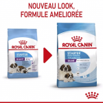 Royal Canin-Giant Starter Gestation/Allaitement (1)