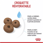 Royal Canin-Giant Starter Gestation/Allaitement (1)