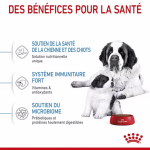 Royal Canin-Giant Starter Gestation/Allaitement (1)