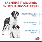 Royal Canin-Giant Starter Gestation/Allaitement (1)