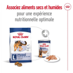 Maxi Adulte Grandes Races (10)