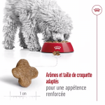 Royal Canin-MiniAdulte +8 Ans (1)