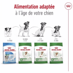 Royal Canin-MiniAdulte +8 Ans (1)