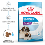 Royal Canin-Giant Starter Gestation/Allaitement (1)