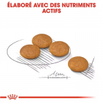 Royal Canin-Mini Dermacomfort Petites Races (1)