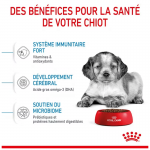Royal Canin-Medium Junior Chiots Races Moyennes (1)