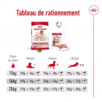 Royal Canin-Croquettes Medium Adulte Races Moyennes (1)