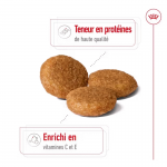 Royal Canin-Croquettes Medium Adulte Races Moyennes (1)