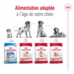 Royal Canin-Croquettes Medium Adulte Races Moyennes (1)