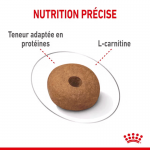 Royal Canin-Medium Light Races Moyennes (1)