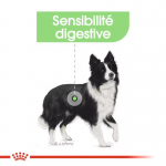 Royal Canin-Medium Sensible Races Moyennes (1)