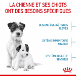 Royal Canin-Mini Starter Gestation/Allaitement (1)
