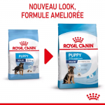 Royal Canin-Croquettes Maxi Junior Chiots Grandes Races (1)