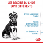 Royal Canin-Croquettes Maxi Junior Chiots Grandes Races (1)