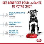 Royal Canin-Croquettes Maxi Junior Chiots Grandes Races (1)