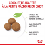 Royal Canin-Croquettes Maxi Junior Chiots Grandes Races (1)