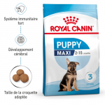 Royal Canin-Croquettes Maxi Junior Chiots Grandes Races (1)