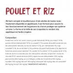 Ownat Ultra-Feline Chiken & Rice (1)