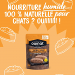 Ownat Wetline comida húmeda para gatos chicken & shrimps