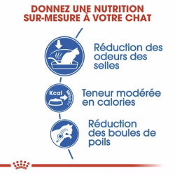 Royal Canin Home Life Indoor 27 alimentation pour chats adultes