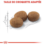 Royal Canin Sterilised 37 nourriture pour chats adultes stérilisés