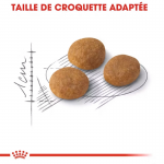 Royal Canin Aroma Exigent alimentation pour chat adulte