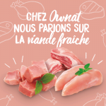 Ownat Wetline Beef & Salmon Nourriture Humide Pour Chiens au Bœuf et au Saumon 395gr