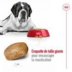Royal Canin Giant Adult Croquettes pour Chiens Adultes de Grande Taille et Géants