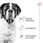 Royal Canin Giant Adult Croquettes pour Chiens Adultes de Grande Taille et Géants