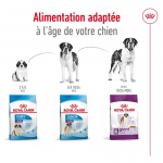 Royal Canin Giant Adult Croquettes pour Chiens Adultes de Grande Taille et Géants