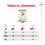 Royal Canin X-Small Adult 8+ croquettes pour chiens seniors de races de petite taille