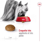 Royal Canin X-Small Adult 8+ croquettes pour chiens seniors de races de petite taille