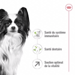 Royal Canin X-Small Adult 8+ croquettes pour chiens seniors de races de petite taille
