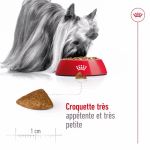 Royal Canin X-Small Ageing +12 cibo secco per cani anziani di razze mini