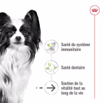 Royal Canin X-Small Ageing +12 cibo secco per cani anziani di razze mini