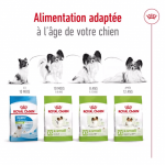 Royal Canin X-Small Ageing +12 cibo secco per cani anziani di razze mini