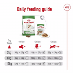 Royal Canin Mini Ageing +12 nourriture pour chiens âgés de races petites