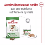 Royal Canin Mini Ageing +12 nourriture pour chiens âgés de races petites
