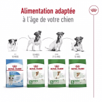 Royal Canin Mini Ageing +12 nourriture pour chiens âgés de races petites