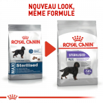 Royal Canin Maxi Adult Sterilised croquettes pour chien grand stérilisé