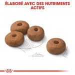 Royal Canin Maxi Adult Sterilised croquettes pour chien grand stérilisé