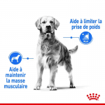 Royal Canin Maxi Adult Light Weight Care aliment pour chiens de races grandes
